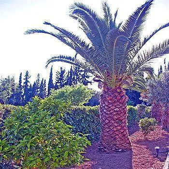 El Greco 3* Eretria (Evia)