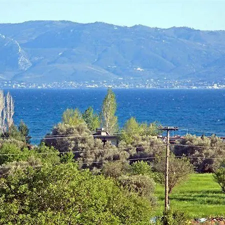 El Greco فندق إريتريا